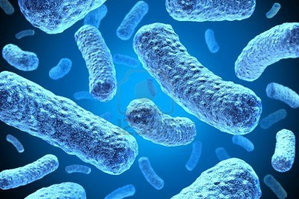 Biotecnologia